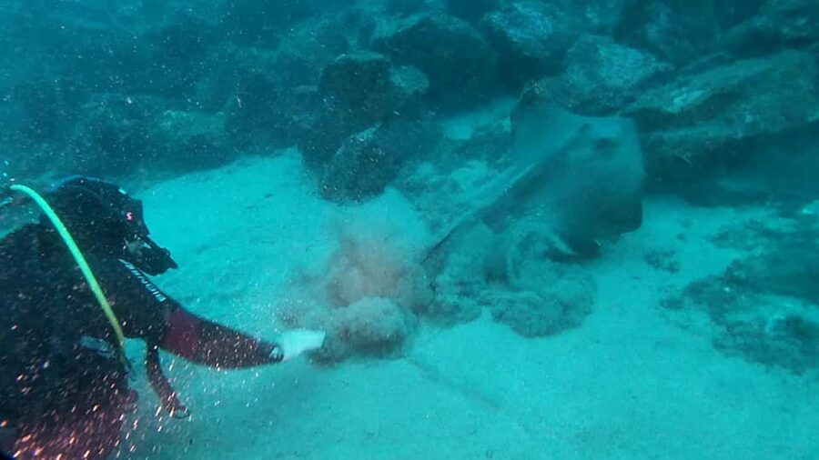 Catania: Gulf Scuba Diving Tour with Marine Biologist - The underwater route through lava formations