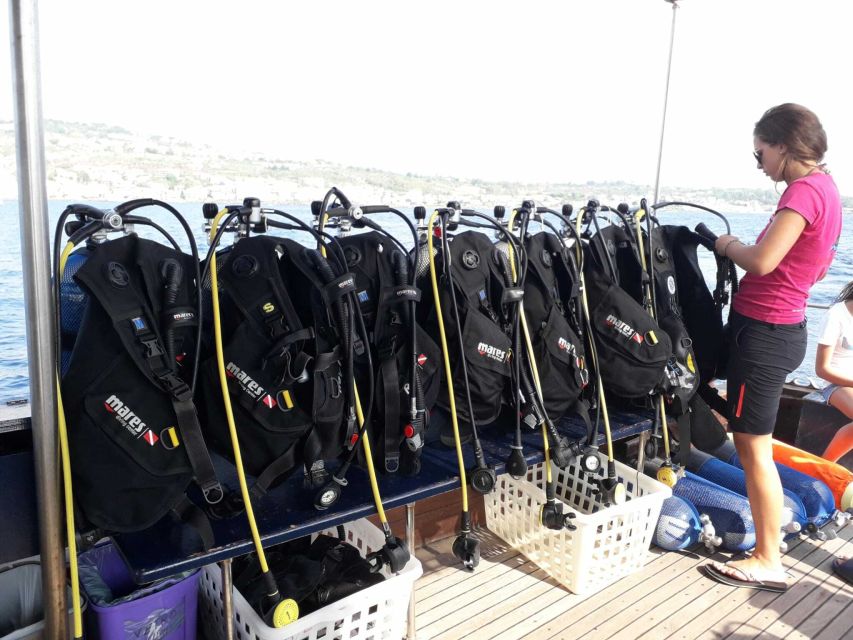Catania: Gulf Scuba Diving Tour with Marine Biologist - Safety and confidence for first-timers