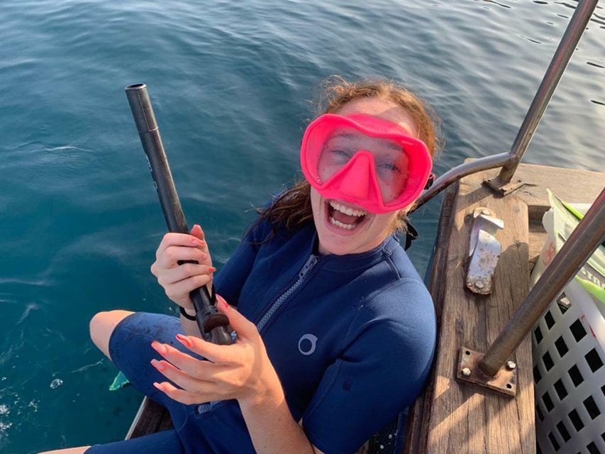 Catania, Isole Ciclopi: Snorkeling Trip - Why Aci Castello is special underwater