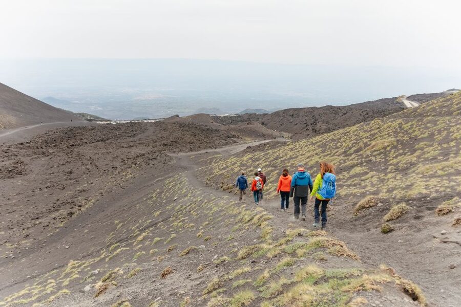 Catania: Mount Etna Morning or Sunset Day Trip with Tasting - Who should book this Etna experience?