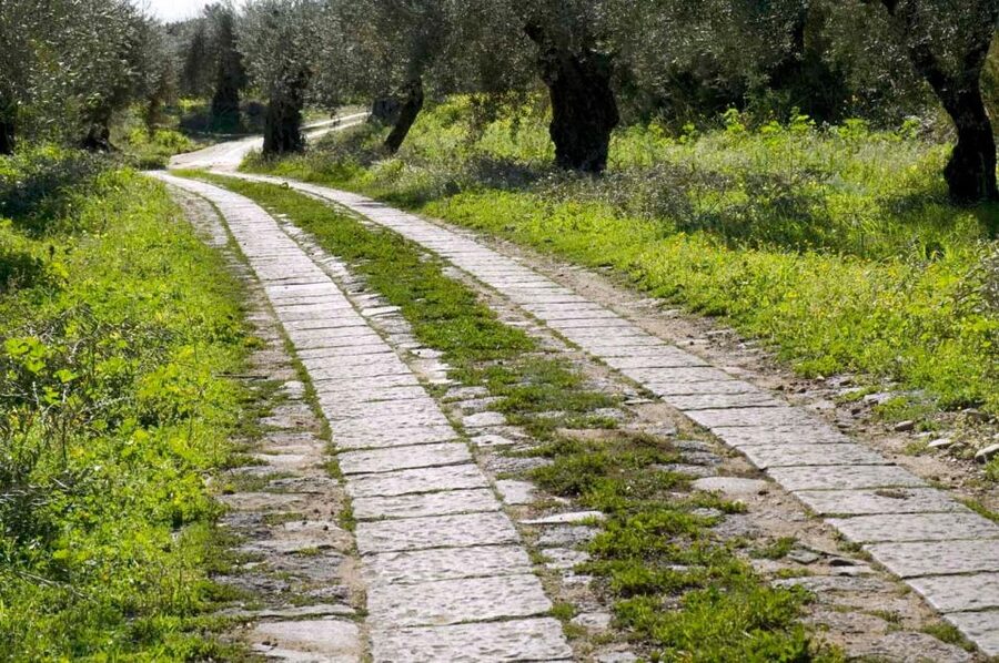 Catania: Pozzo di Gaspare Farm Guided Tour with Tastings - Key points to know before you book