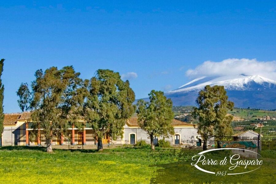 Catania: Pozzo di Gaspare Farm Guided Tour with Tastings - What Giuseppe adds to the experience