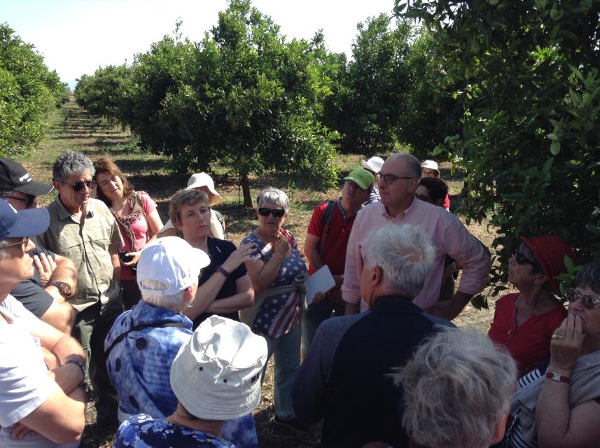 Catania: Pozzo di Gaspare Farm Guided Tour with Tastings - The best season for flowers and fresh color