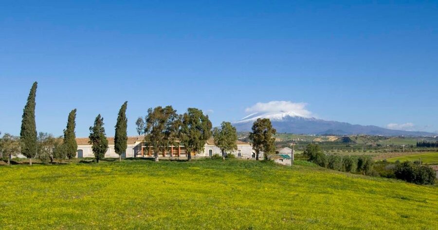 Catania: Pozzo di Gaspare Farm Guided Tour with Tastings - Who should book this farm tour?