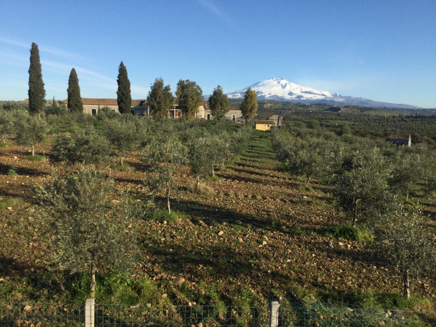 Catania: Pozzo di Gaspare Farm Guided Tour with Tastings - Should you book Pozzo di Gaspare?