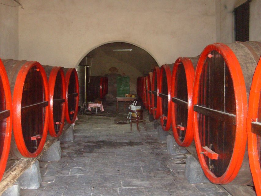 Catania: Pozzo di Gaspare Farm Guided Tour with Tastings - The hand-dug well and the old farmhouse