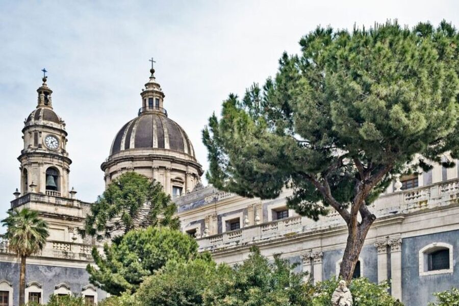 Catania: Private custom tour with a local guide - What the custom itinerary can include