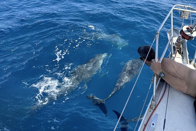 Catania: Sail Cyclops Coast by Boat and Enjoy a Sicilian Aperitif - Aci Trezza and the Faraglioni