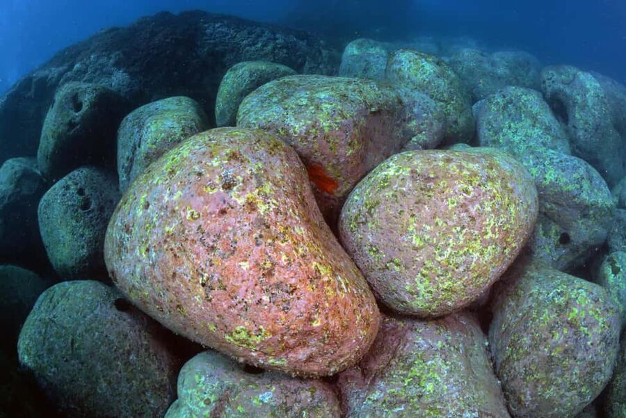 Catania: Scuba Diving Experience - FAQ