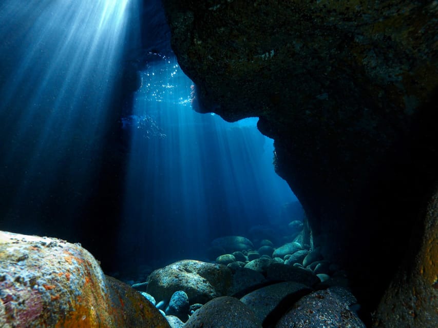 Catania: Scuba Diving Experience - Who Should Book This Catania Scuba Session?