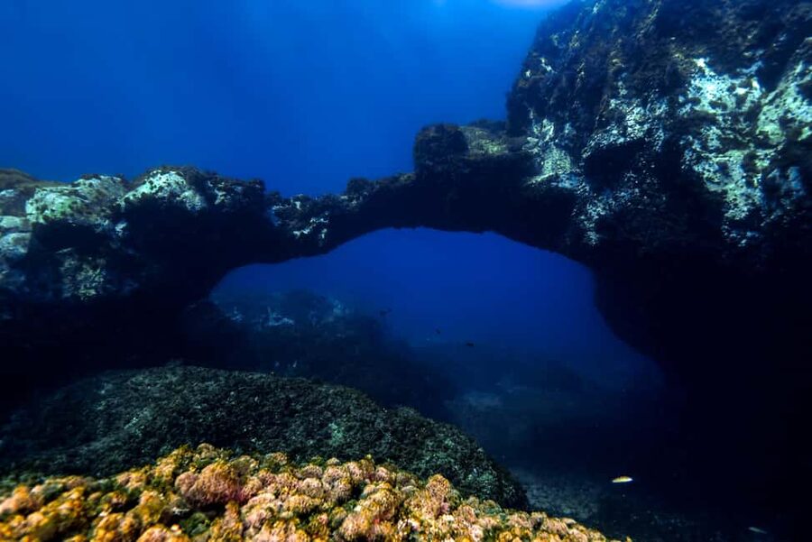 Catania: Scuba Diving Experience - The Briefing Comes Before the First Breath