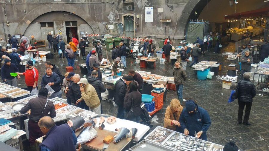 Catania Street Food Tour: Fish Market & City Centre - Guide Style and Group Experience