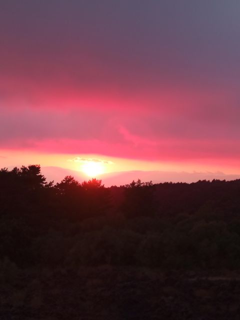 Catania: Sunset Trekking on Mount Etna with Wine Tasting - What the guides add