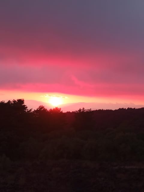 Catania: Sunset Trekking on Mount Etna with Wine Tasting - Transport, timing, and the real value