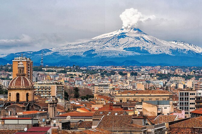 Catania Walking Tour with Audio and Written Guide by a Local - Ursino Castle and Catania’s lava-stone defenses