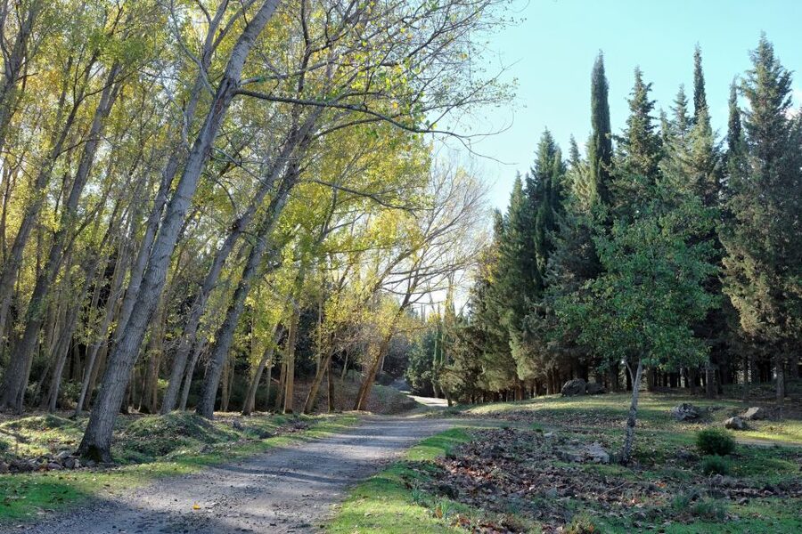 Cesarò: Full Day Tour of Nebrodi Park in a 4x4 - Key points to know before booking