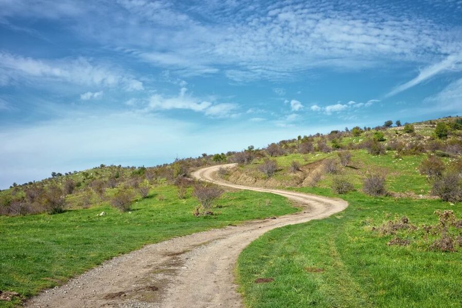 Cesarò: Full Day Tour of Nebrodi Park in a 4x4 - Forest roads in a private 4x4