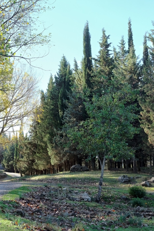Cesarò: Full Day Tour of Nebrodi Park in a 4x4 - What the Italian-speaking guide adds