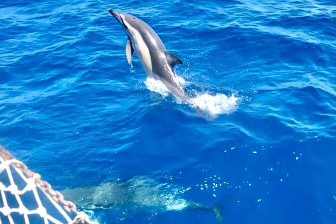 Classic Boat Tour in Palermo - Swimming and aperitivo in Mondello Bay