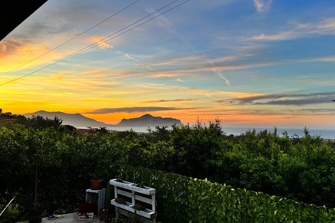 Cooking class in a villa with Palermo view - Making tagliatelle from scratch