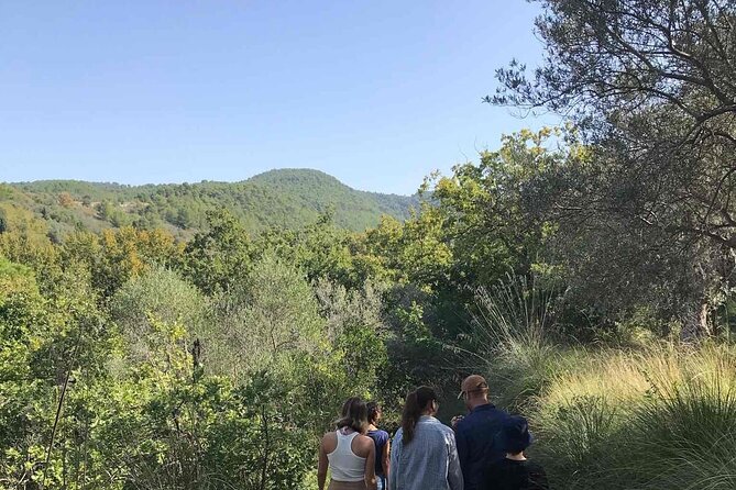 Cooking class in the countryside with Simona - Terrace dining, olive trees, and the winter wood stove