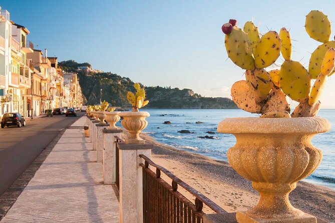 Cooking Class with Seaview with Chef Mimmo - A long lunch with cannoli and limoncello