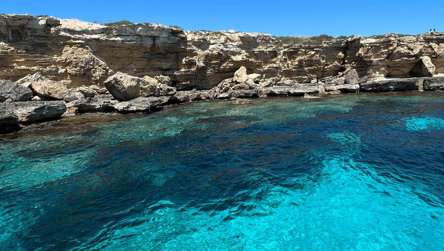 Da Trapani: Escursione alle isole Egadi Favignana & Levanzo - Cala Rotonda and the best easy swim