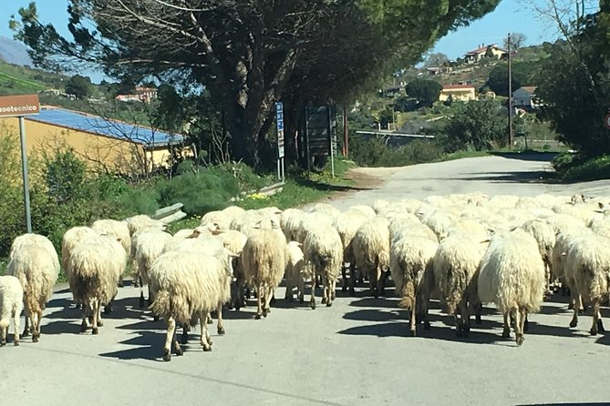 Daily Biking in the Rural Sicily - Leaving Palermo by train with your bicycle