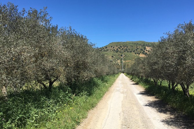 Daily Biking in the Rural Sicily - What the $178.02 price gets you