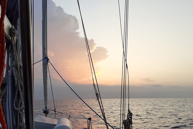 Daily Sailing Tour in Palermo with lunch. - Who will enjoy this Palermo sailing day