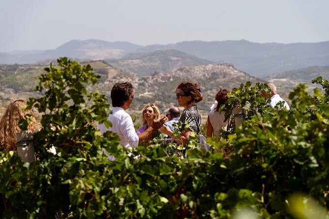 Di Giovanna Winery Tour & 3 Wine Tasting - Three wines, three styles, and Sicilian pairings