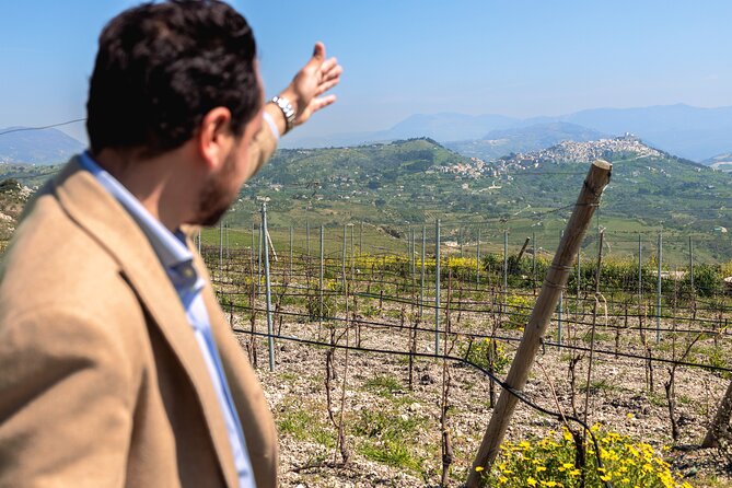 Di Giovanna Winery Tour & 5 Wine Tasting - Key points at a glance