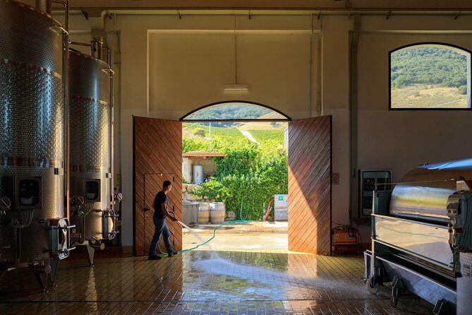 Di Giovanna Winery Tour & 5 Wine Tasting - Group size, timing, and practical details