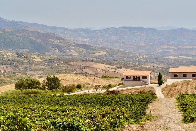 Di Giovanna Winery Tour & 5 Wine Tasting - Walking through the vineyards and cellar