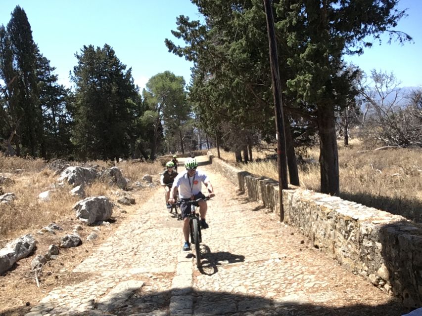 Discover MtPellegrino with a PRIVATE Guided Bike Tour - Returning to Palermo on paved roads