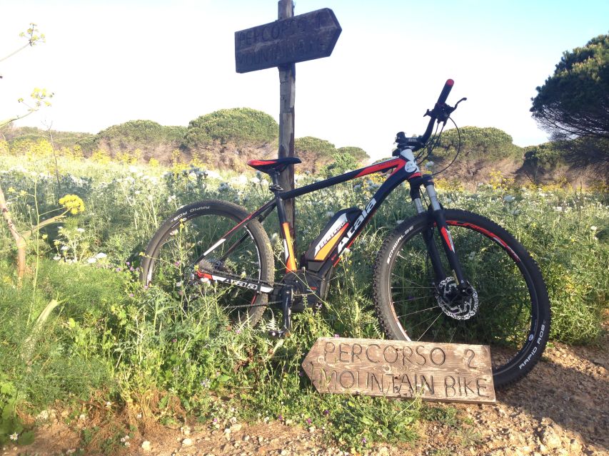 Discover MtPellegrino with a PRIVATE Guided Bike Tour - Who should book this Monte Pellegrino ride?