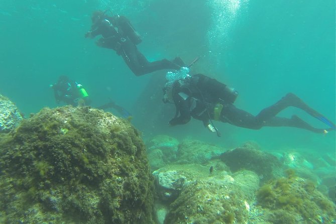 Discover scuba diving - What the high praise tells you about the center