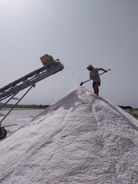 Discover Trapani's Saltpans with an E-Bike Tour - Key points to know before booking