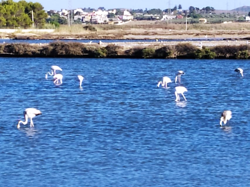 Discover Trapani's Saltpans with an E-Bike Tour - Starting in central Trapani at Via Osorio
