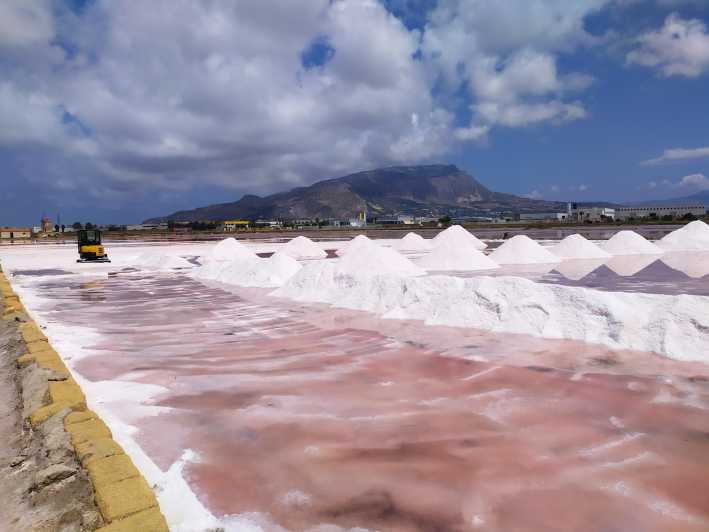 Discover Trapani's Saltpans with an E-Bike Tour - Watching birds among Trapani’s saltpans