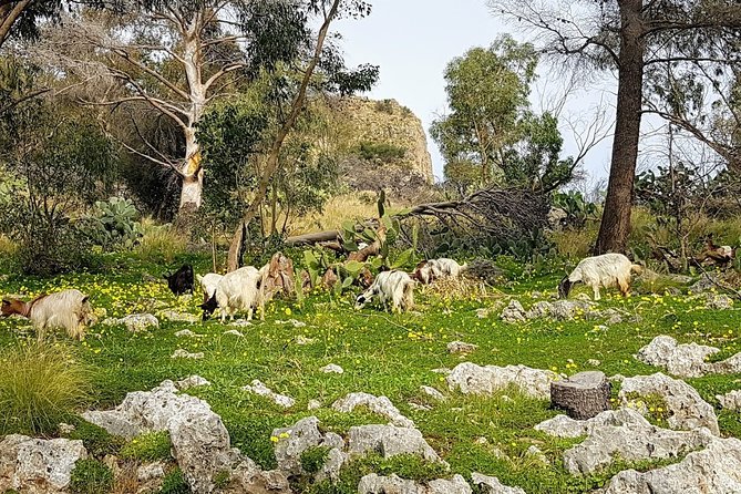 Discovering Monte Pellegrino - The first stretch through Palermo