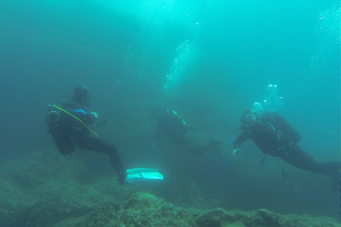 Diving for patented divers - Timing, fitness, and practical planning