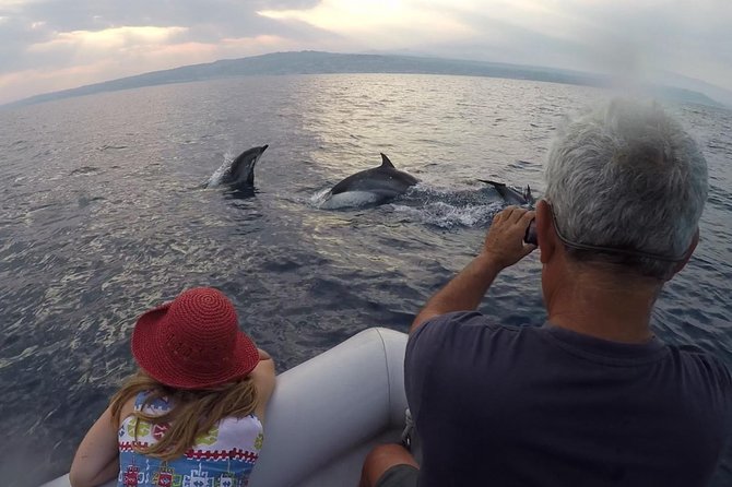 Dolphin Watching & Conservation - Dolphins in the Gulf of Catania - A marine biologist, binoculars, and a hydrophone