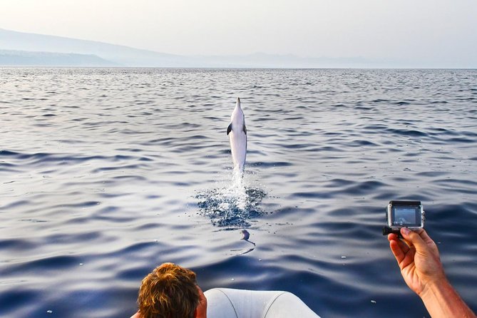 Dolphin Watching & Conservation - Dolphins in the Gulf of Catania - The boat, group size, and comfort