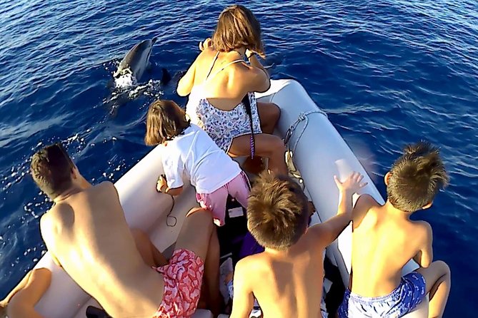 Dolphin Watching & Conservation - Dolphins in the Gulf of Catania - What happens if the dolphins do not appear