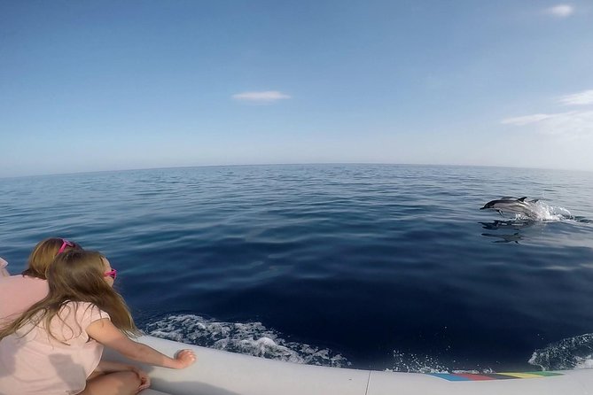 Dolphin Watching & Conservation - Dolphins in the Gulf of Catania - Who will enjoy this outing most