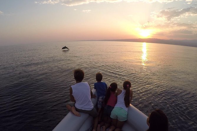 Dolphin Watching & Conservation - Dolphins in the Gulf of Catania - Mount Etna and the Catania coast from the water