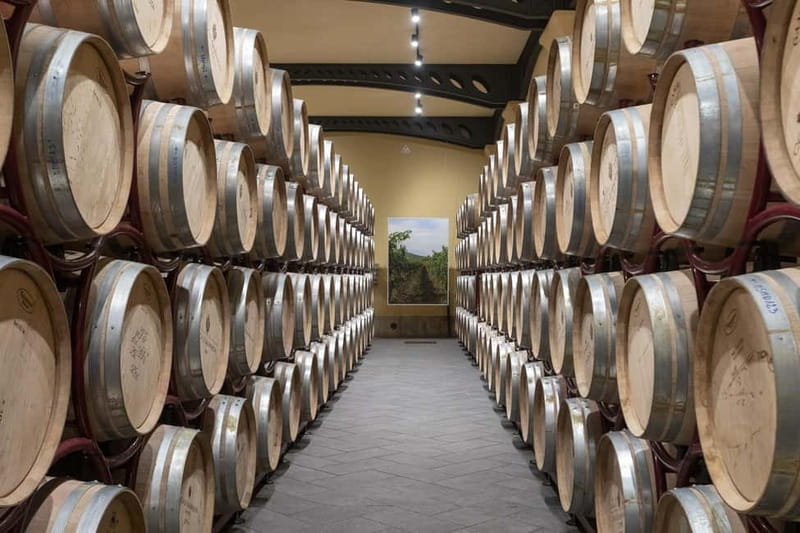 Duca di Salaparuta: Tour of the winery and wine tastings - Guides who add personality to the visit