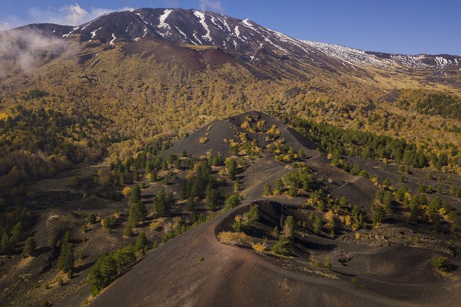 Easy North Etna Hike - Starting at Rifugio Citelli at 8:00 a.m.