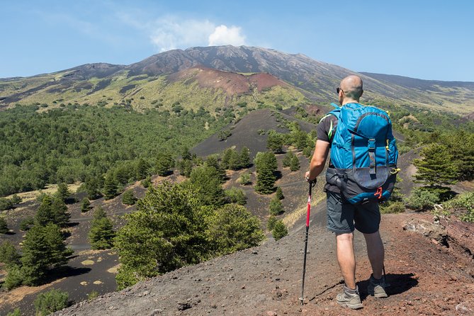 Easy North Etna Hike - The birch forest and changing scenery